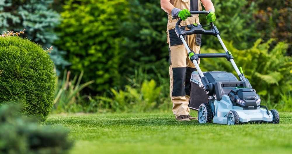 Revitalize Your Yard with Landscaping Contractors