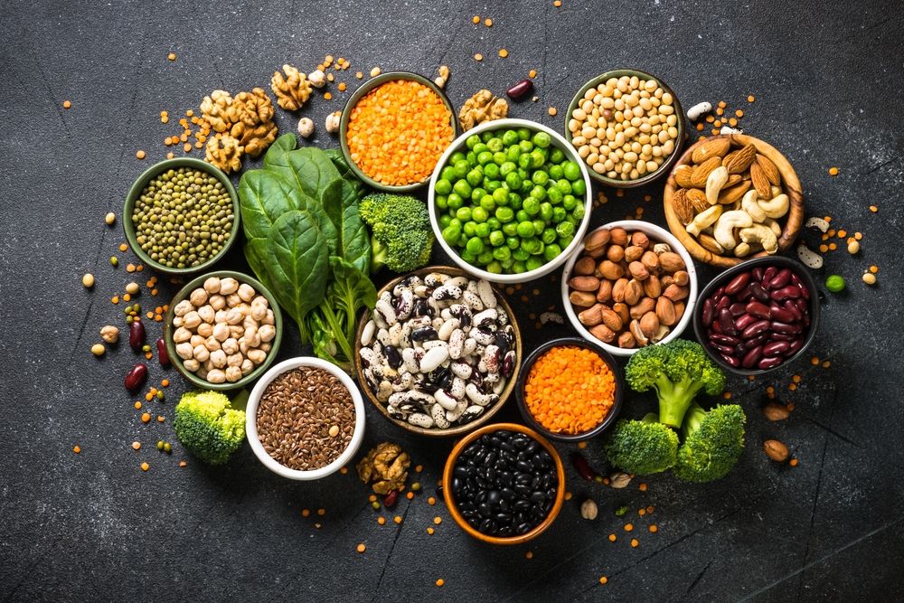 Plant-Based Proteins to Enhance Senior Health